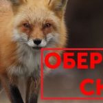 Обережно – сказ!